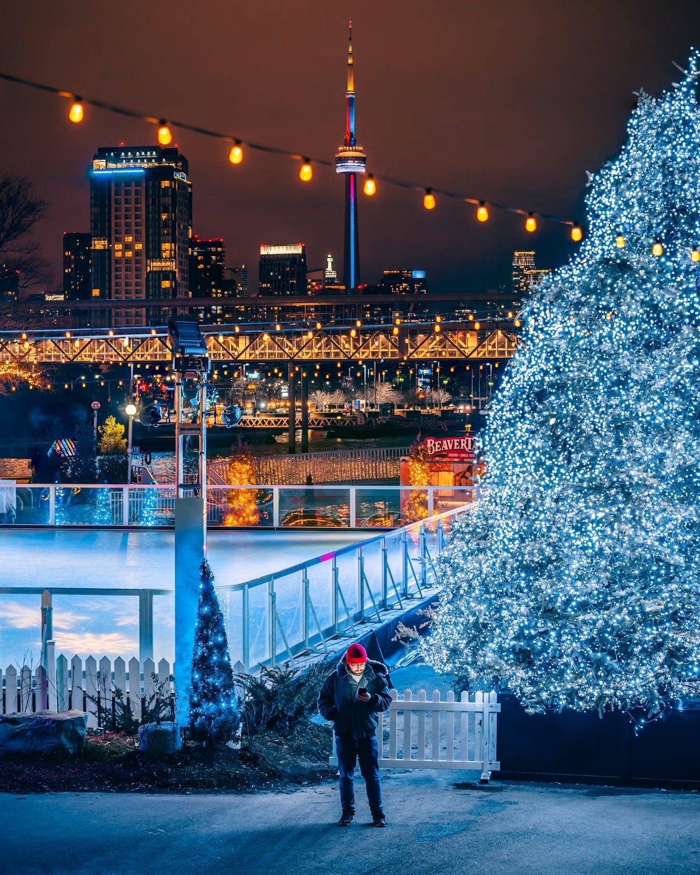 Cheap Hotels in Toronto