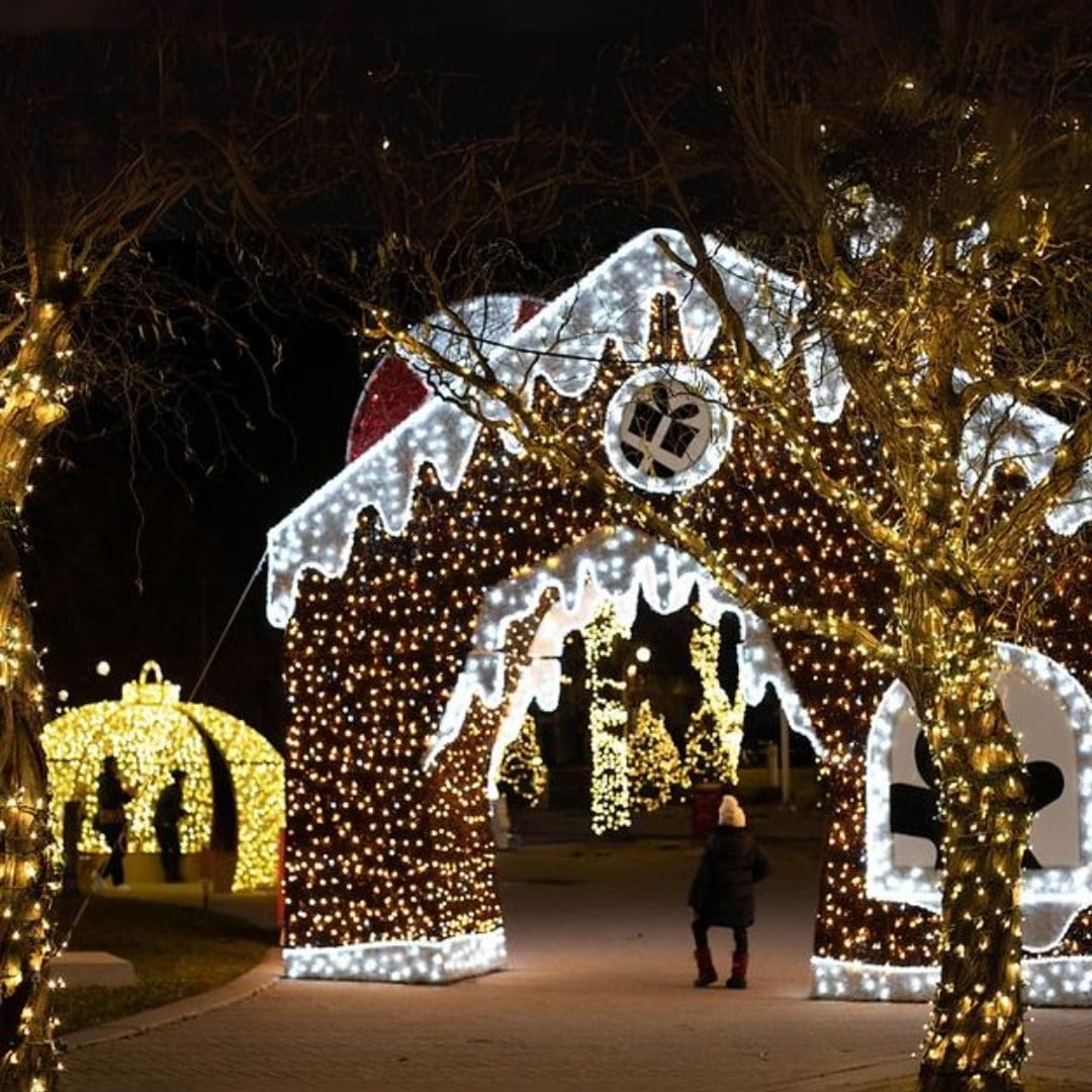 Winter Wonderland of Lights