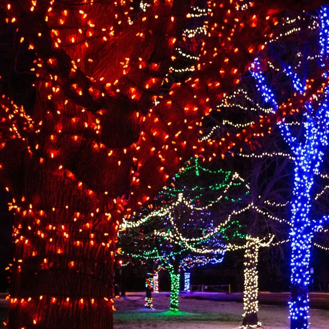Holiday Lights by the Lake (Coronation Park)