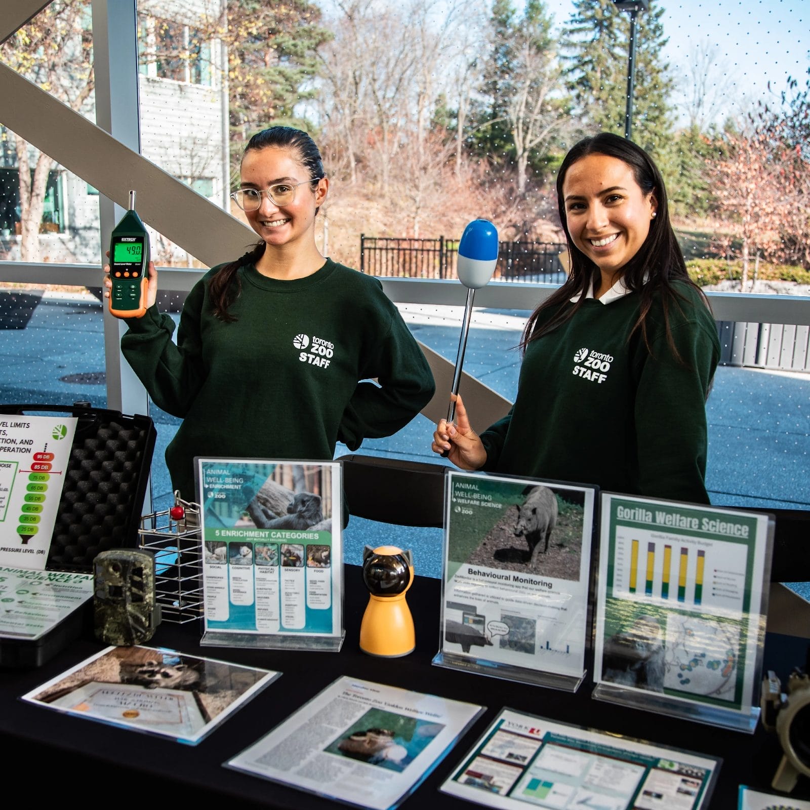 Things To Do in Toronto