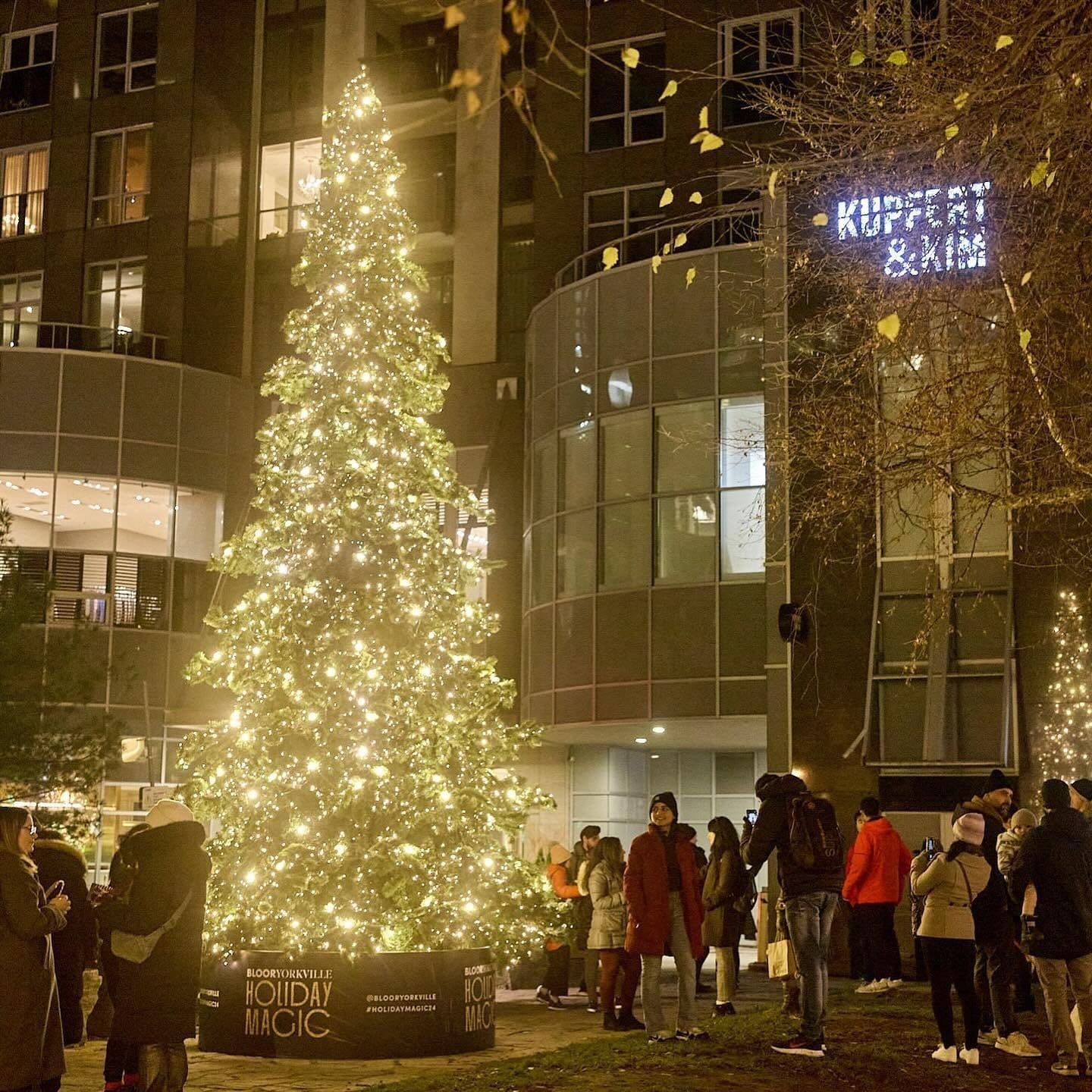 Best Holiday Light Displays in Toronto