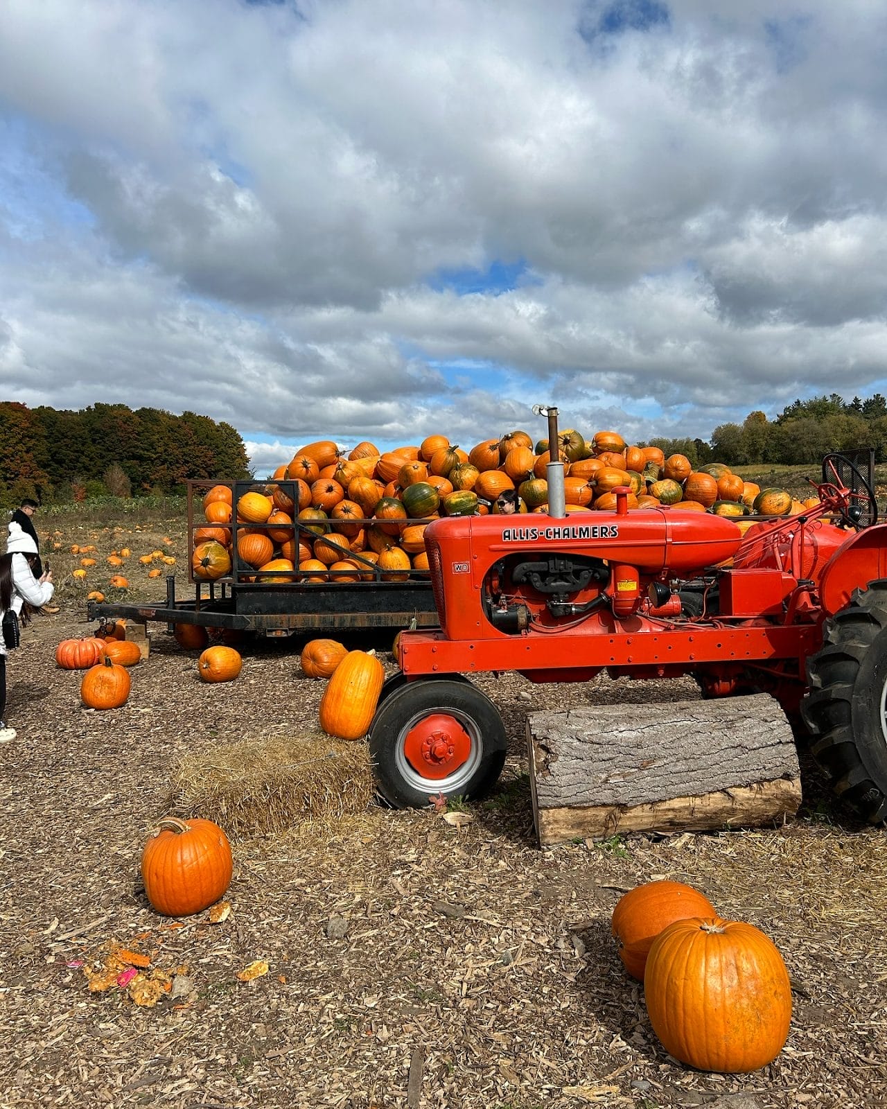 Fall Festivals Toronto 2025