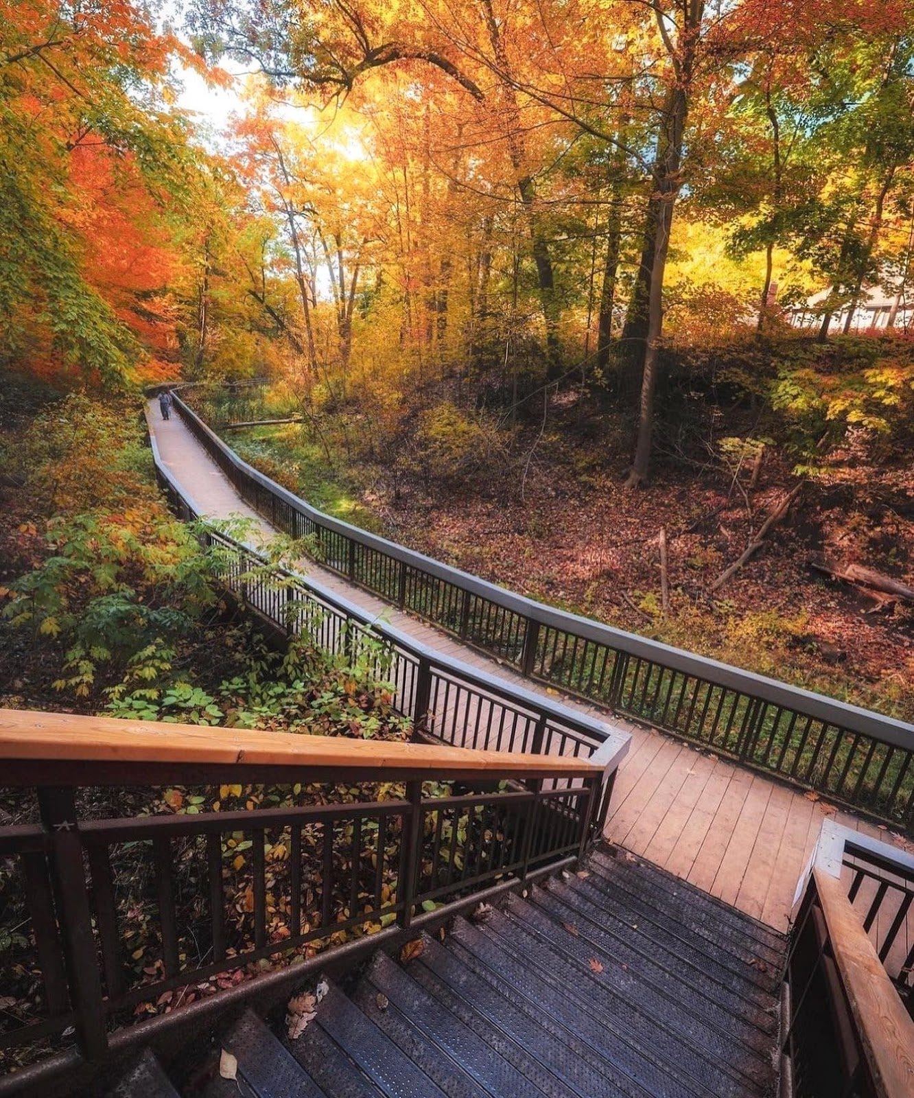 Fall Hikes Toronto