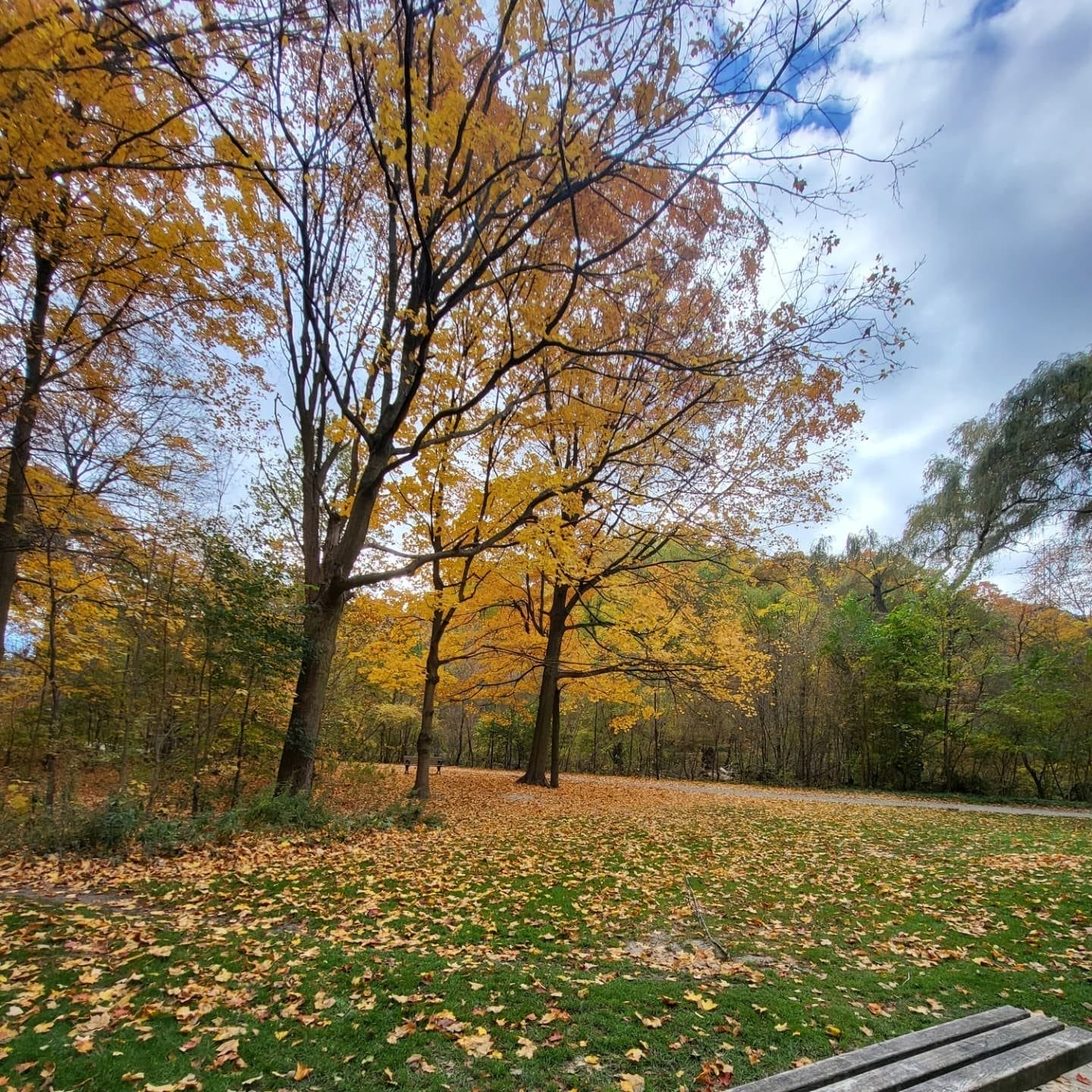 Fall Hikes Toronto
