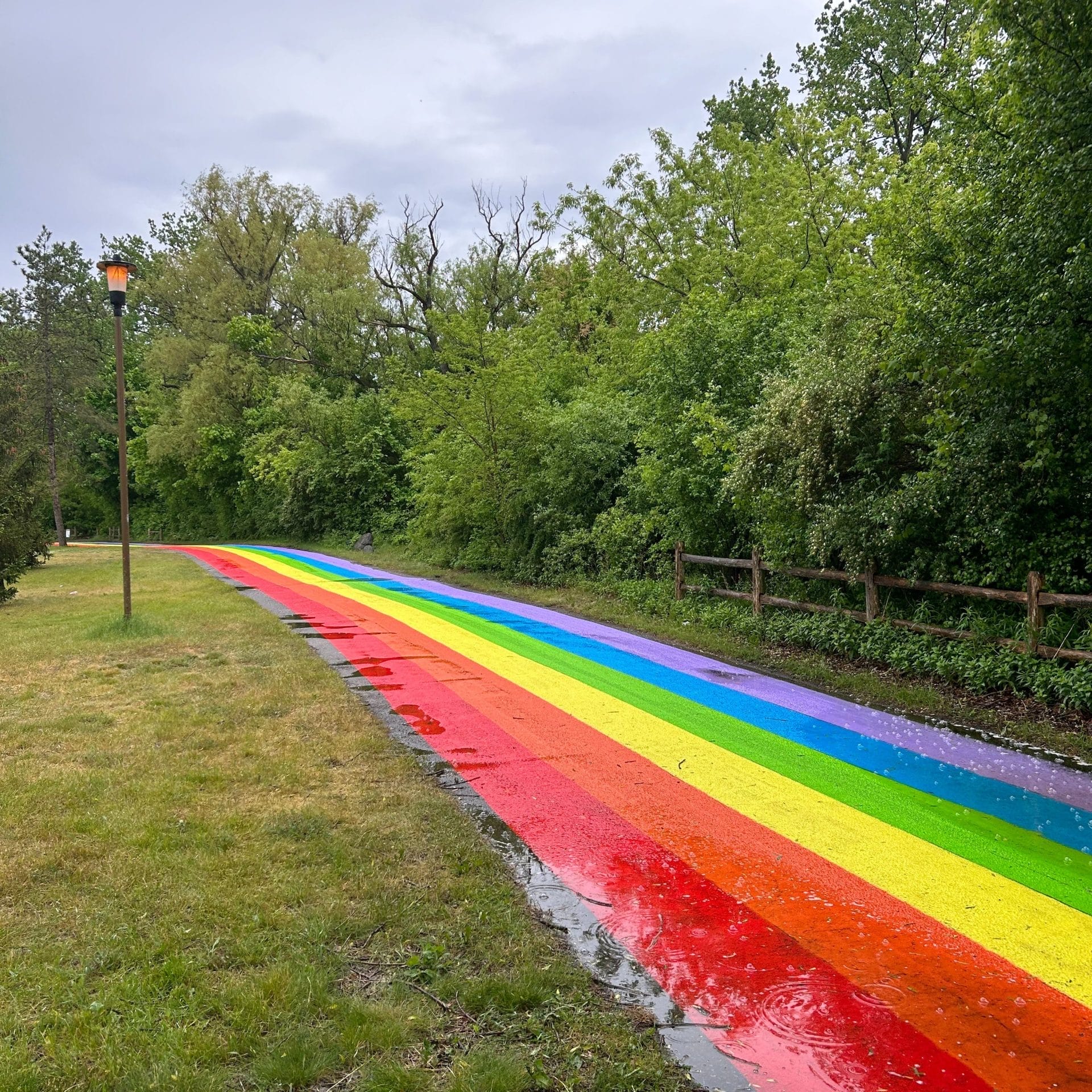 World Largest Rainbow Road
