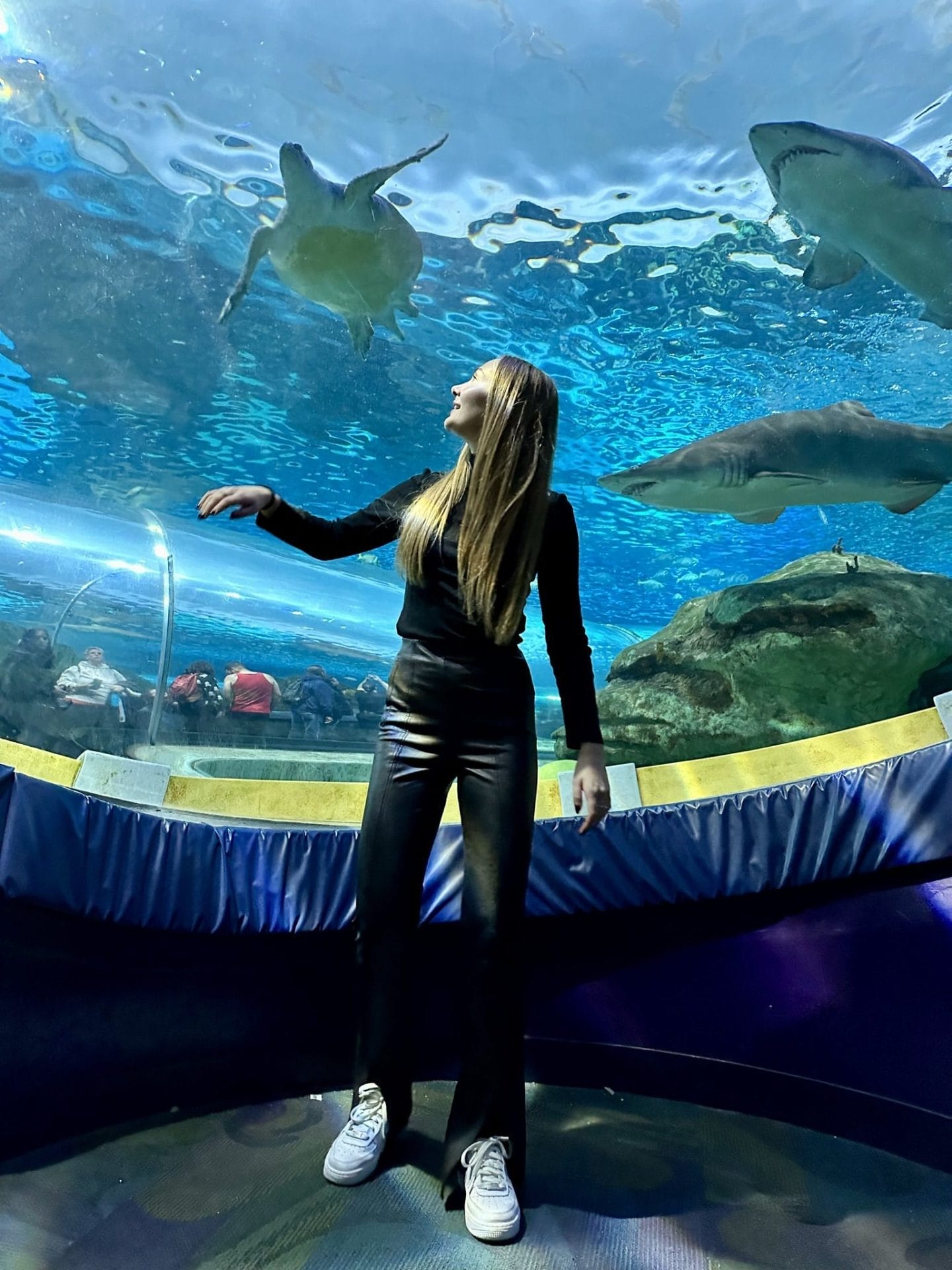 Best Things in Toronto Ripley's Aquarium of Canada