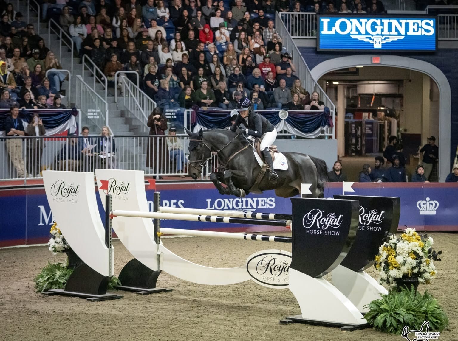 Things To Do in Toronto