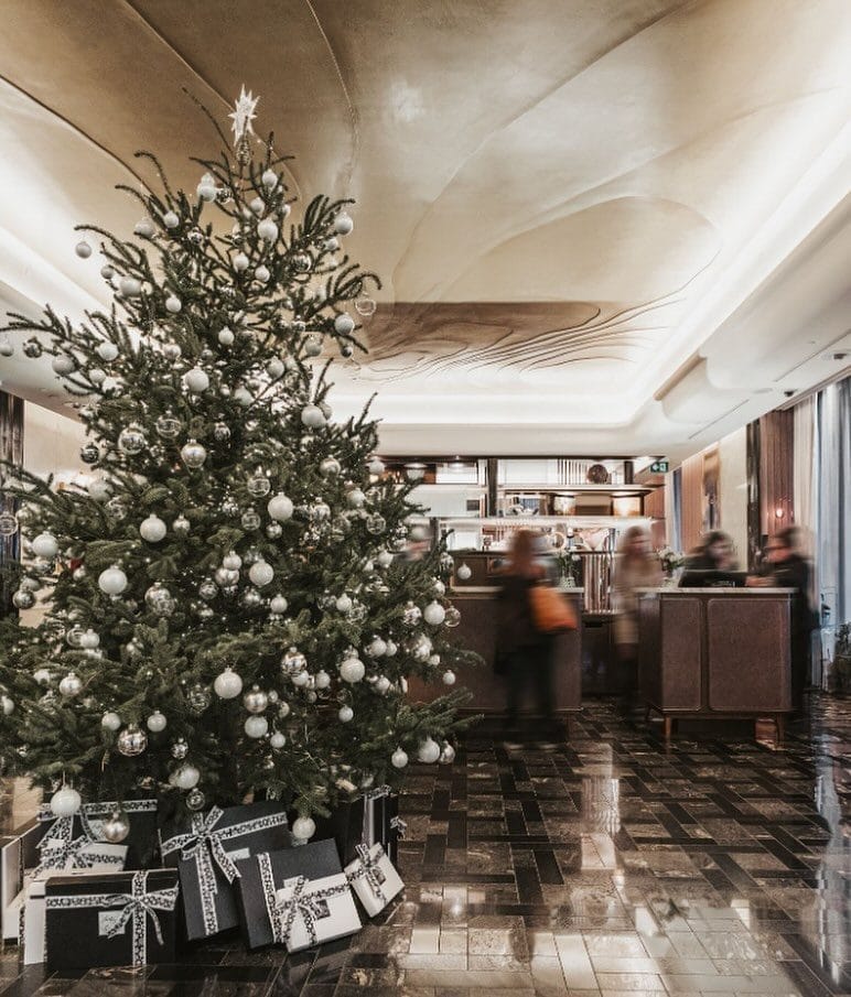 Christmas Trees in Toronto