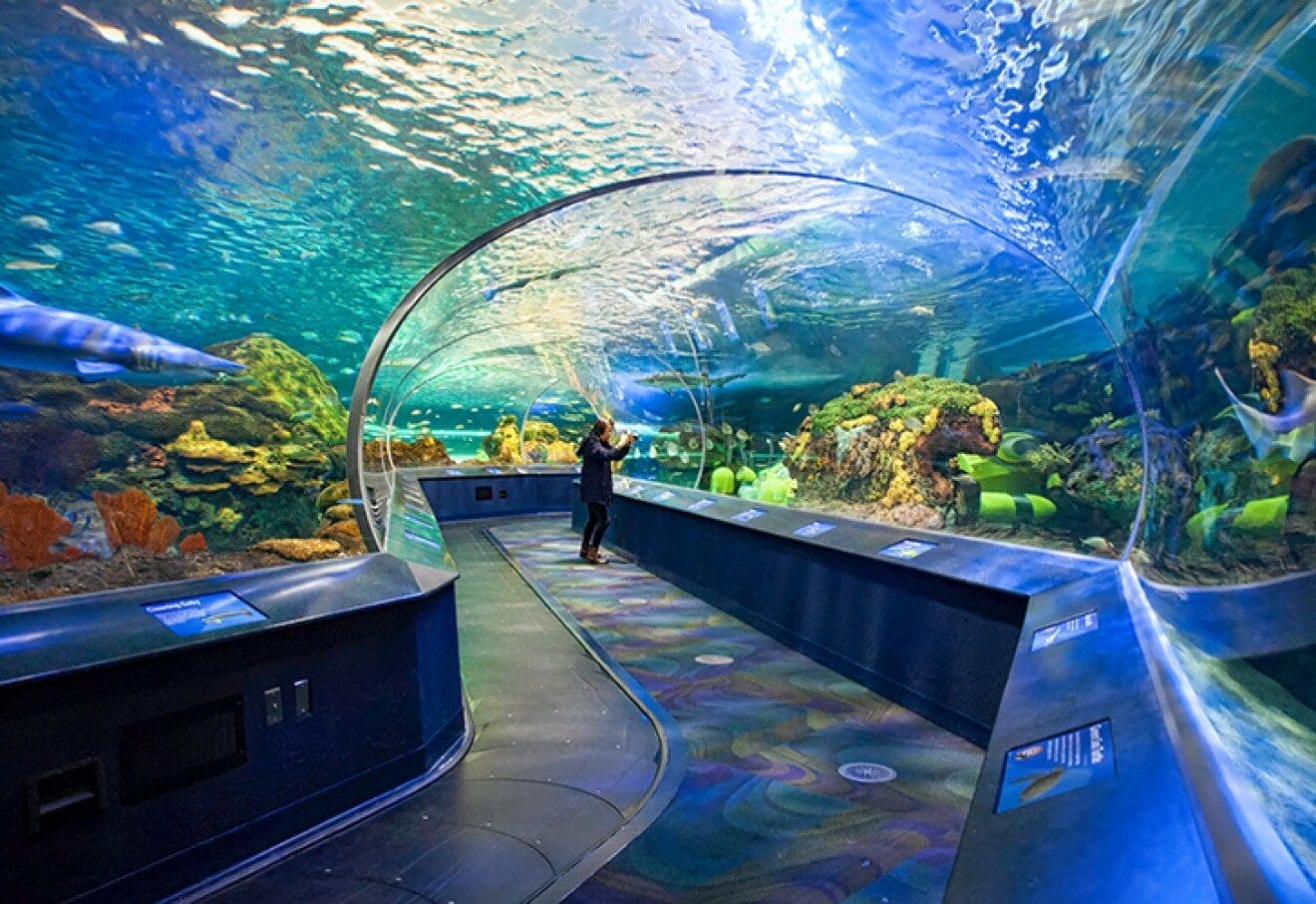 Ripley’s Aquarium of Canada