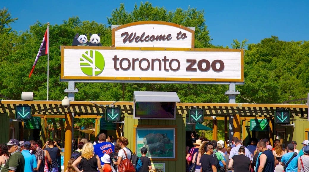 Toronto Zoo