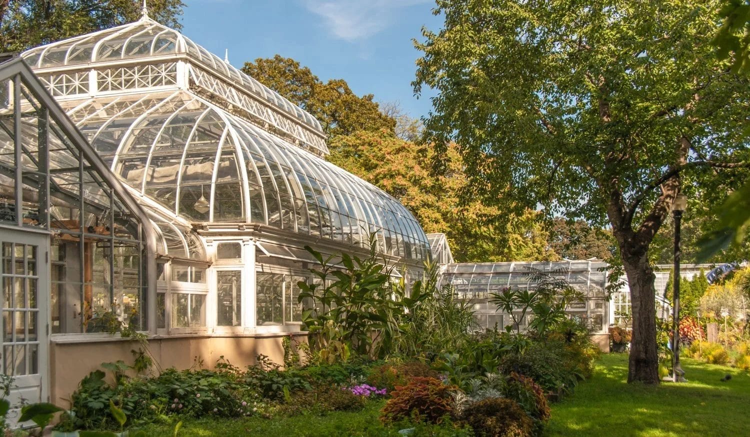 Allan Gardens Conservatory