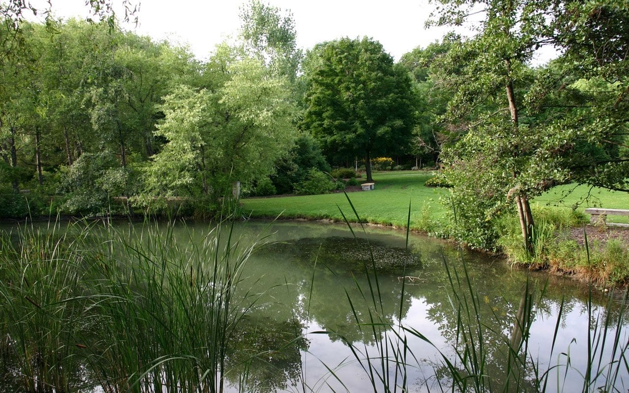 Humber Arboretum