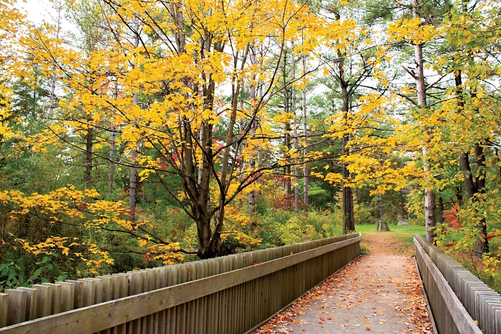 Best gardens Toronto