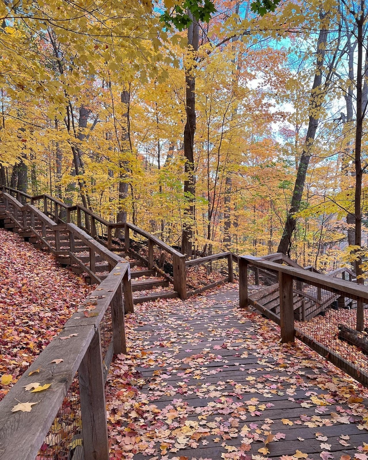 Best gardens Toronto