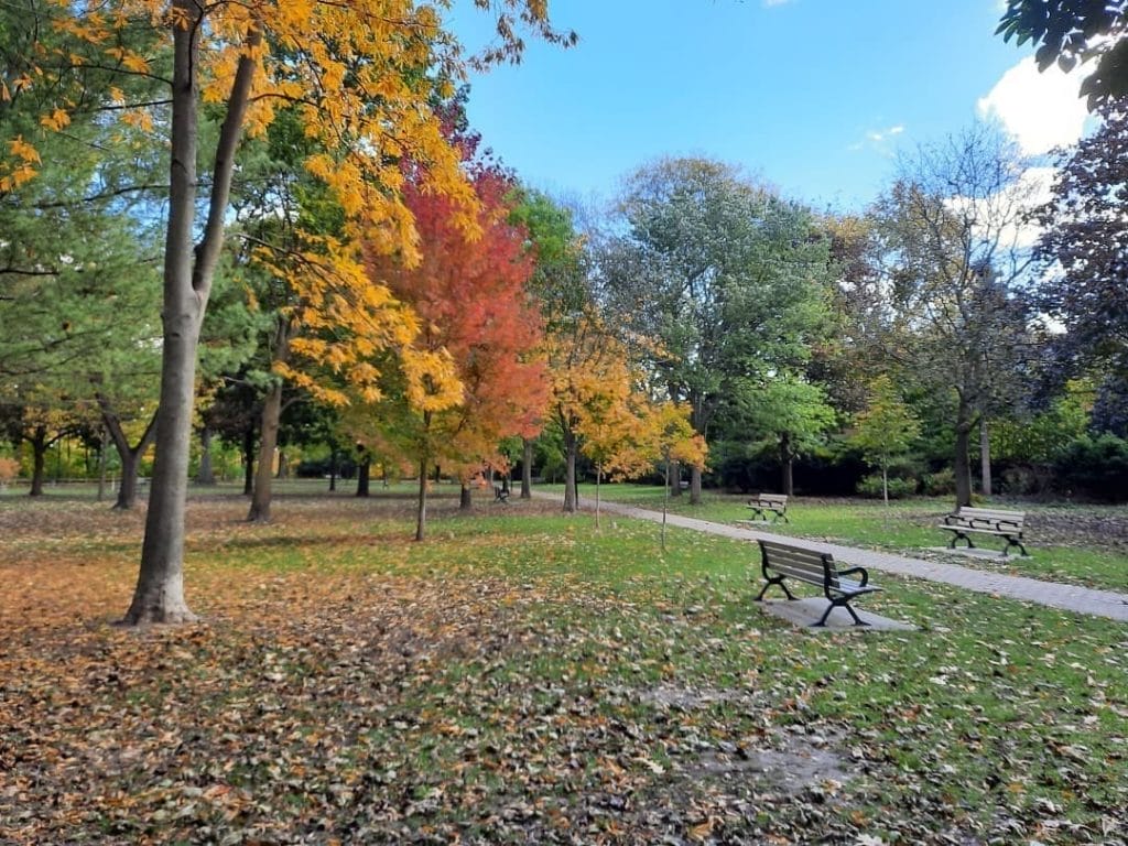 Best gardens Toronto