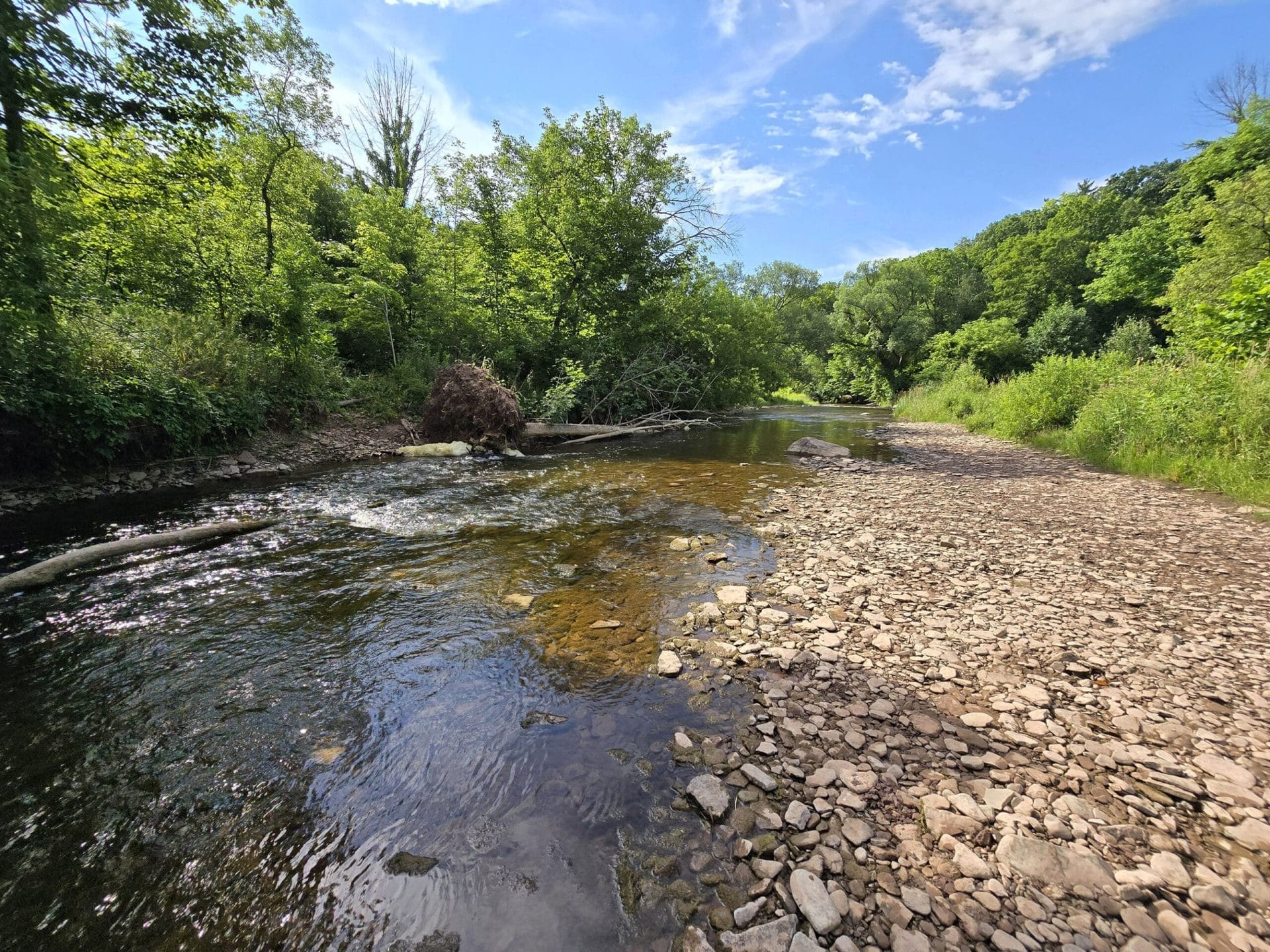 Bronte Creek Provincial Park