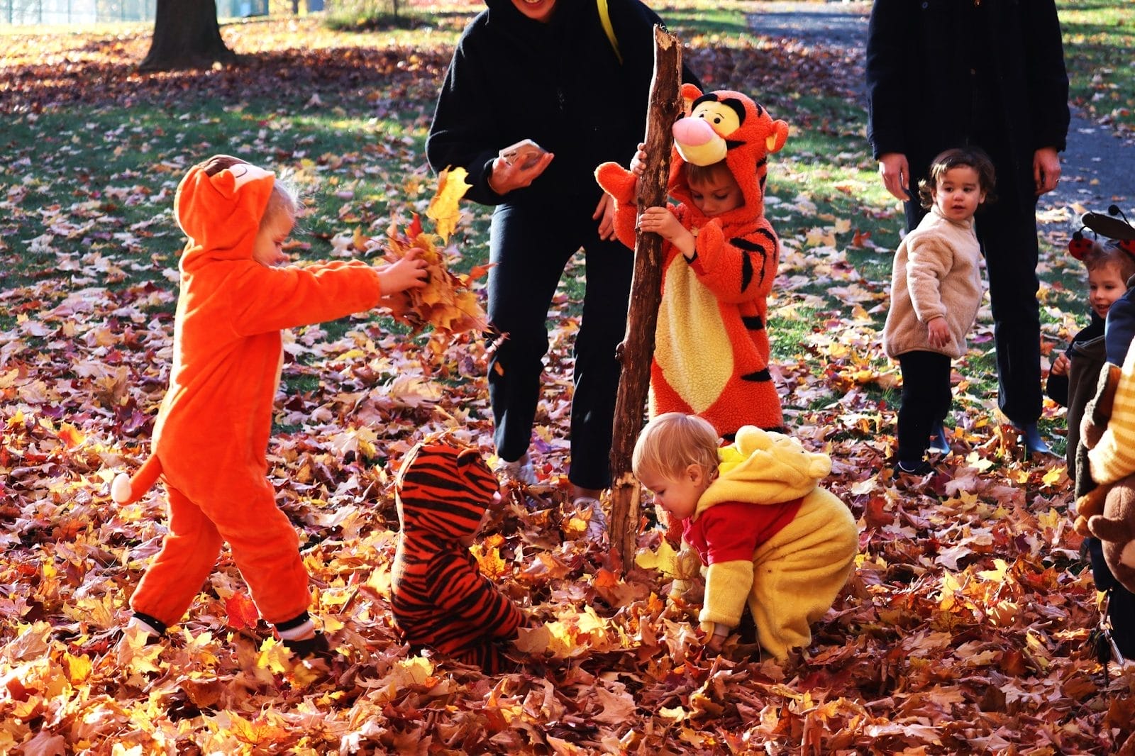 Halloween Events in Toronto
