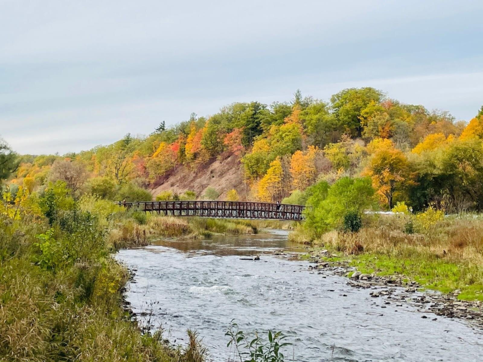 Lion’s Valley Park