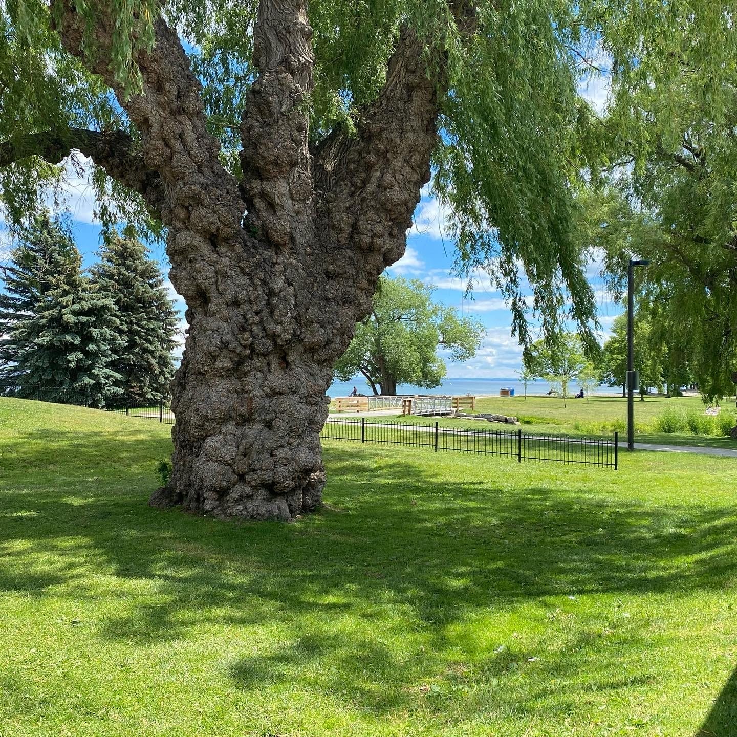 Coronation Park