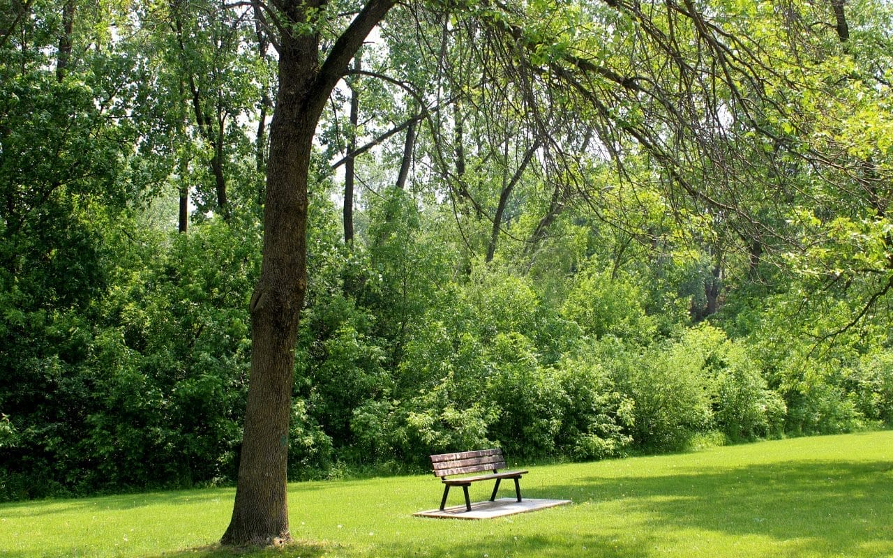 King’s Mill Park