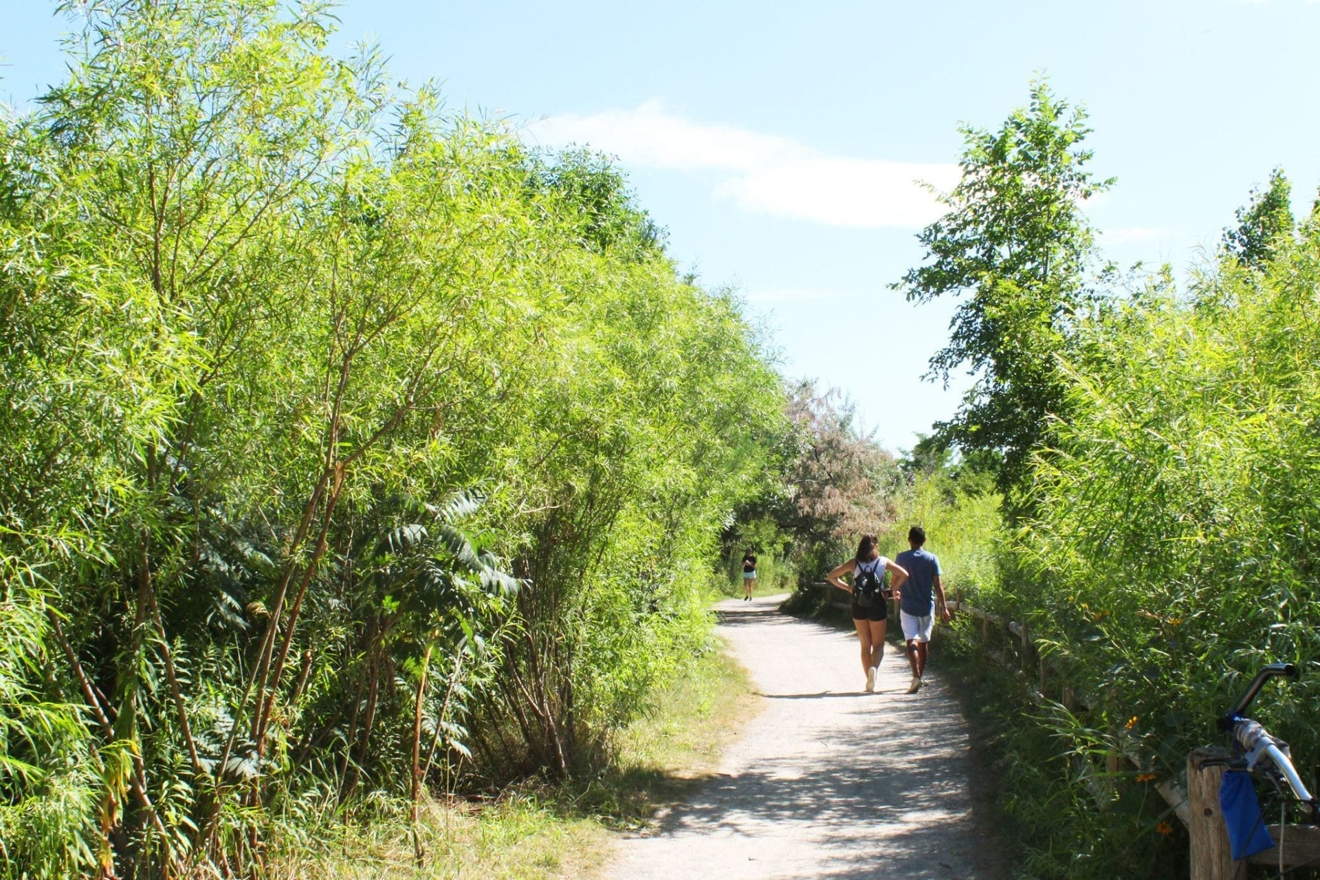 South Humber Park & Butterfly Habitat