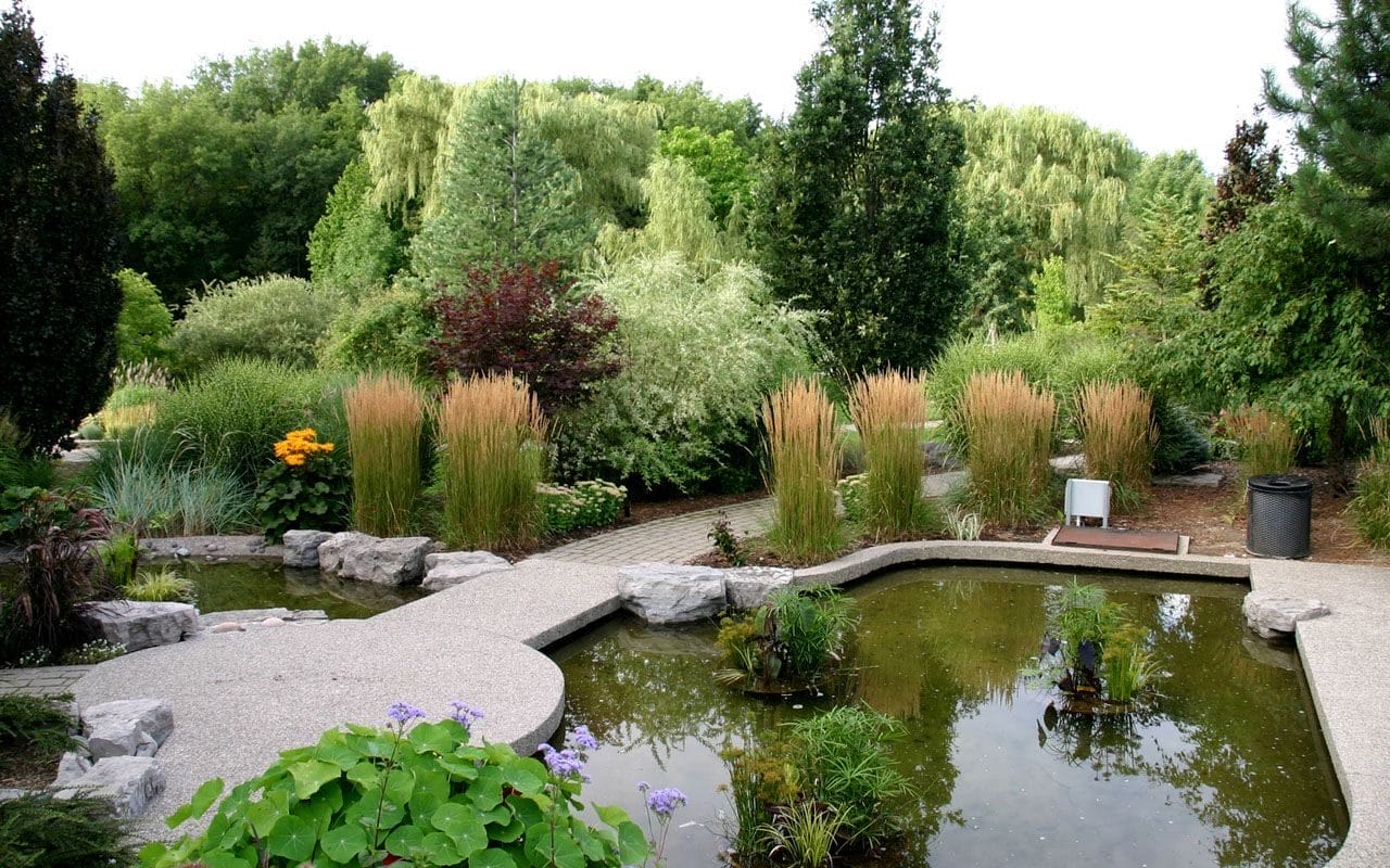 Humber College Arboretum