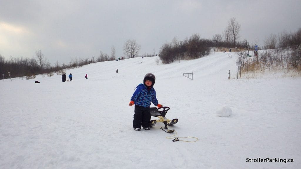 Centennial Park Tobogganing Hill