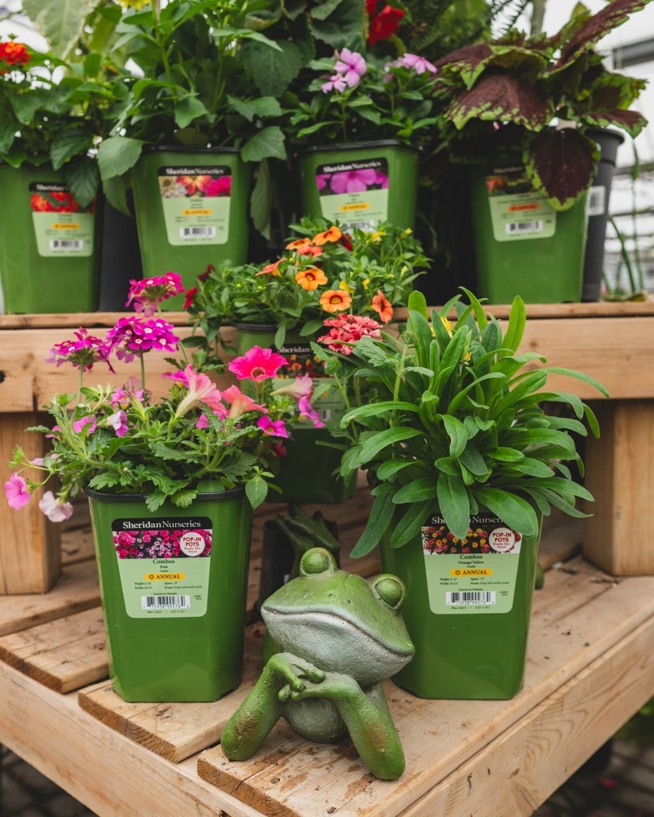 Last-minute holiday gifts Toronto