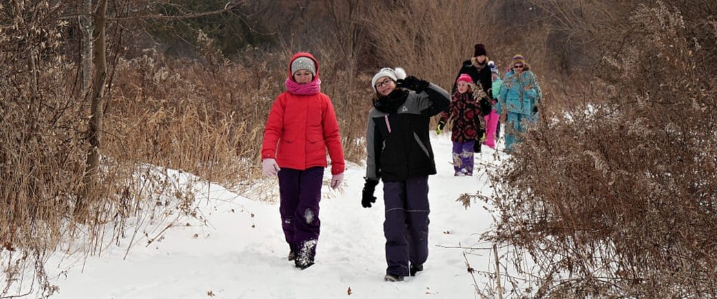 Humber College Arboretum 