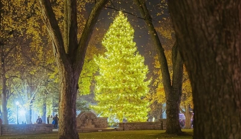 Tree lighting ceremonies Toronto
