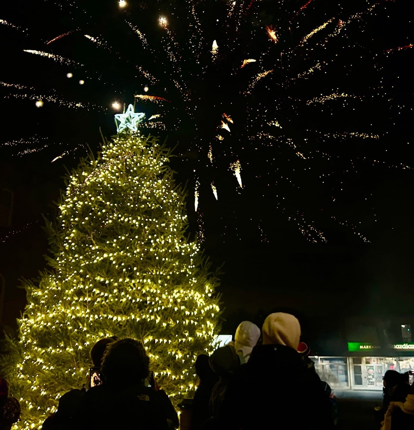 Tree lighting ceremonies Toronto