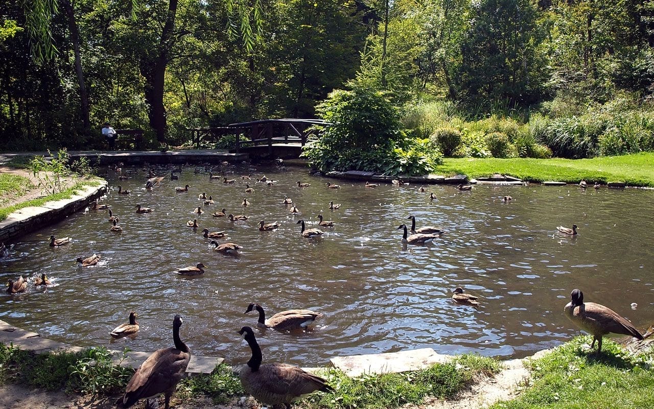 James Gardens