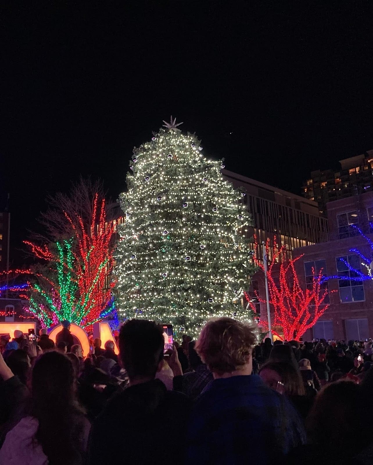 Tree lighting ceremonies Toronto