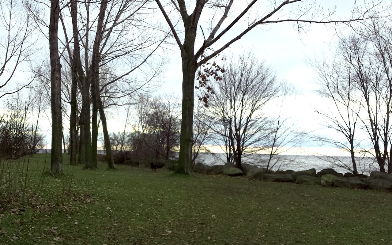 Humber Bay Park 