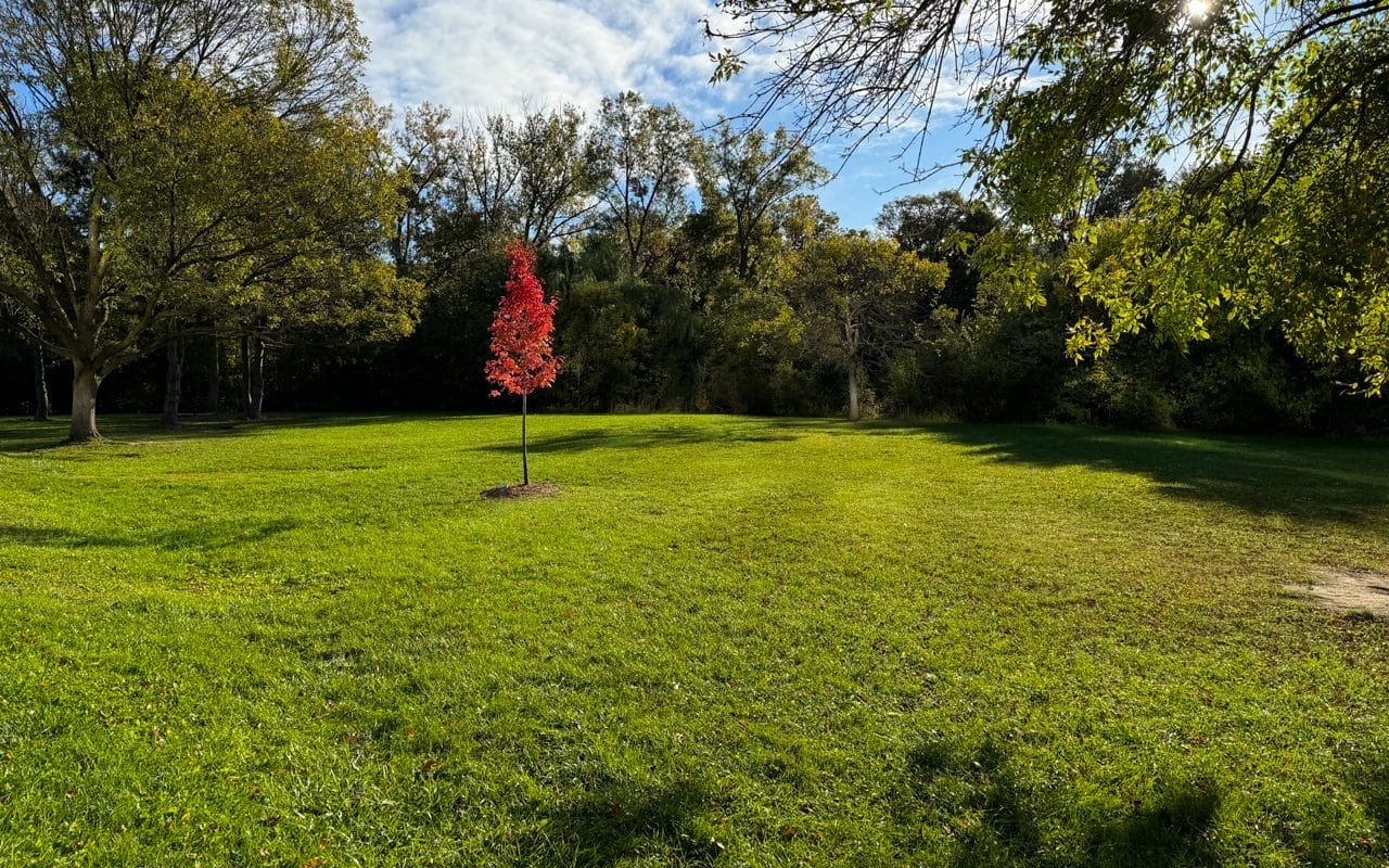 King’s Mill Park