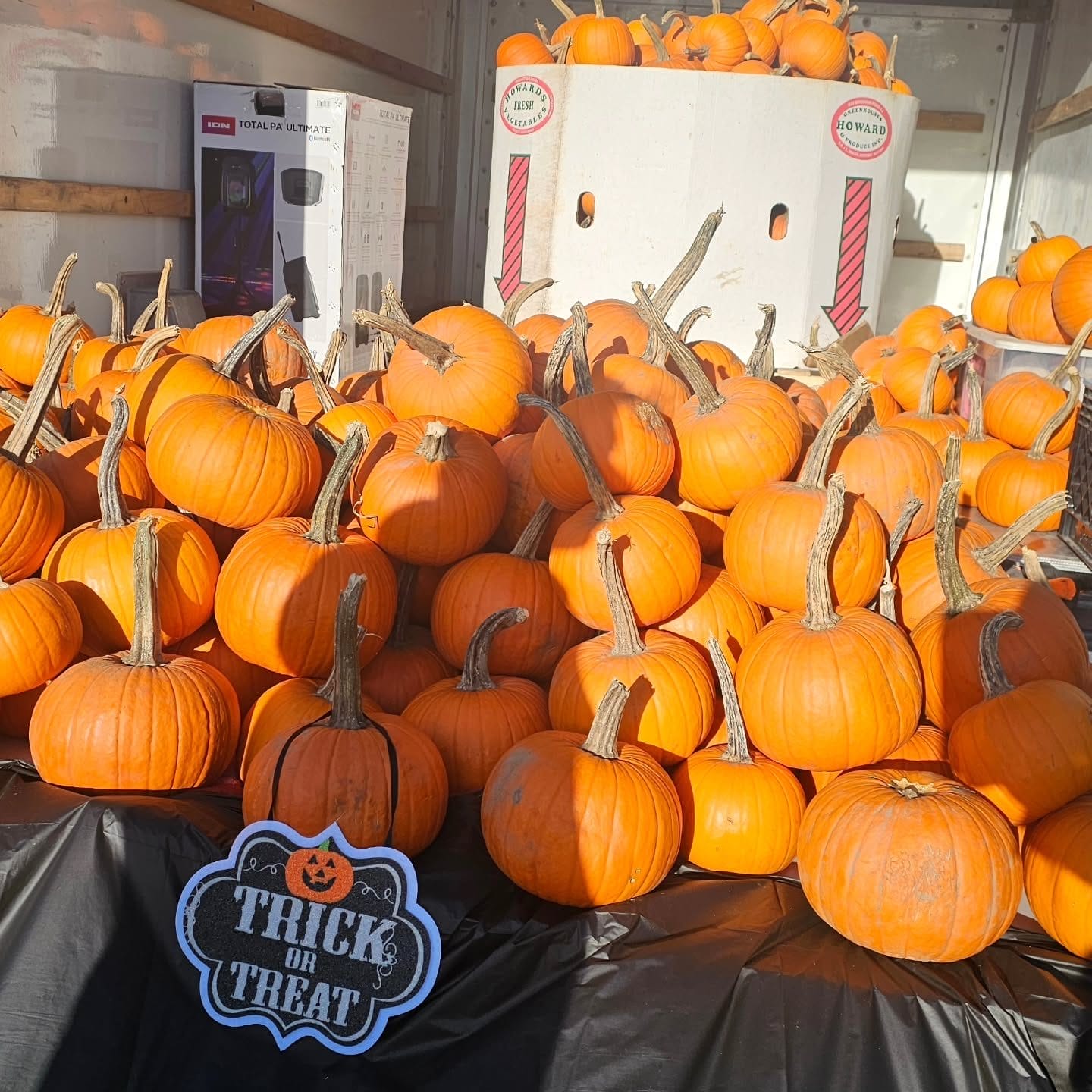 Pumpkinfest at The Kingsway