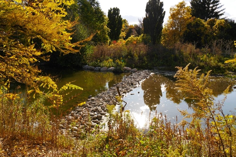 Humber College Arboretum