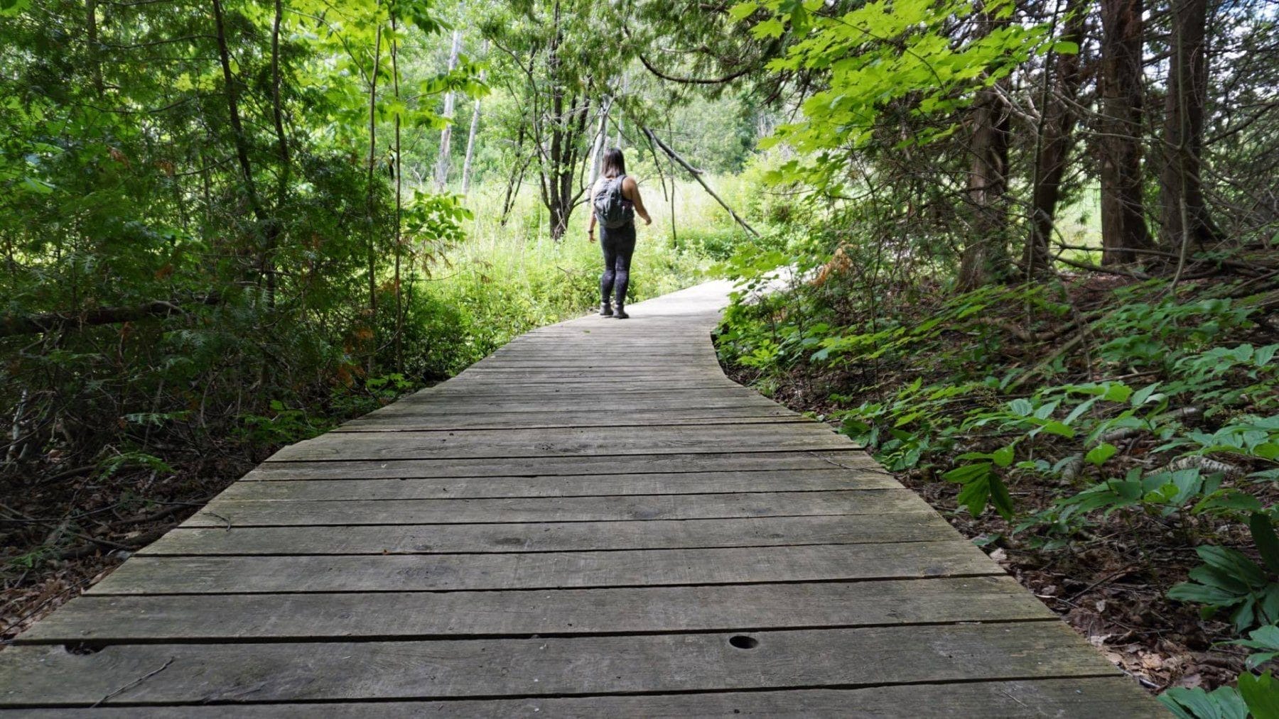 Bruce’s Mill Conservation Area
