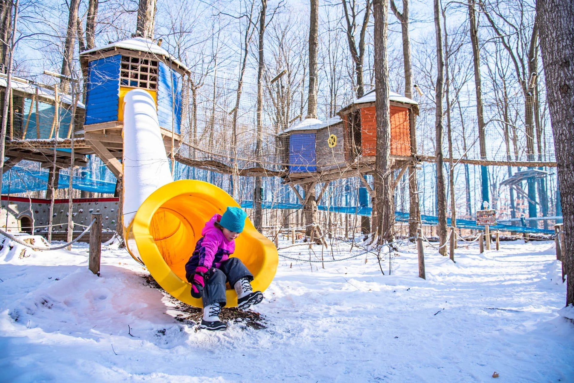 Treetop Trekking Stouffville