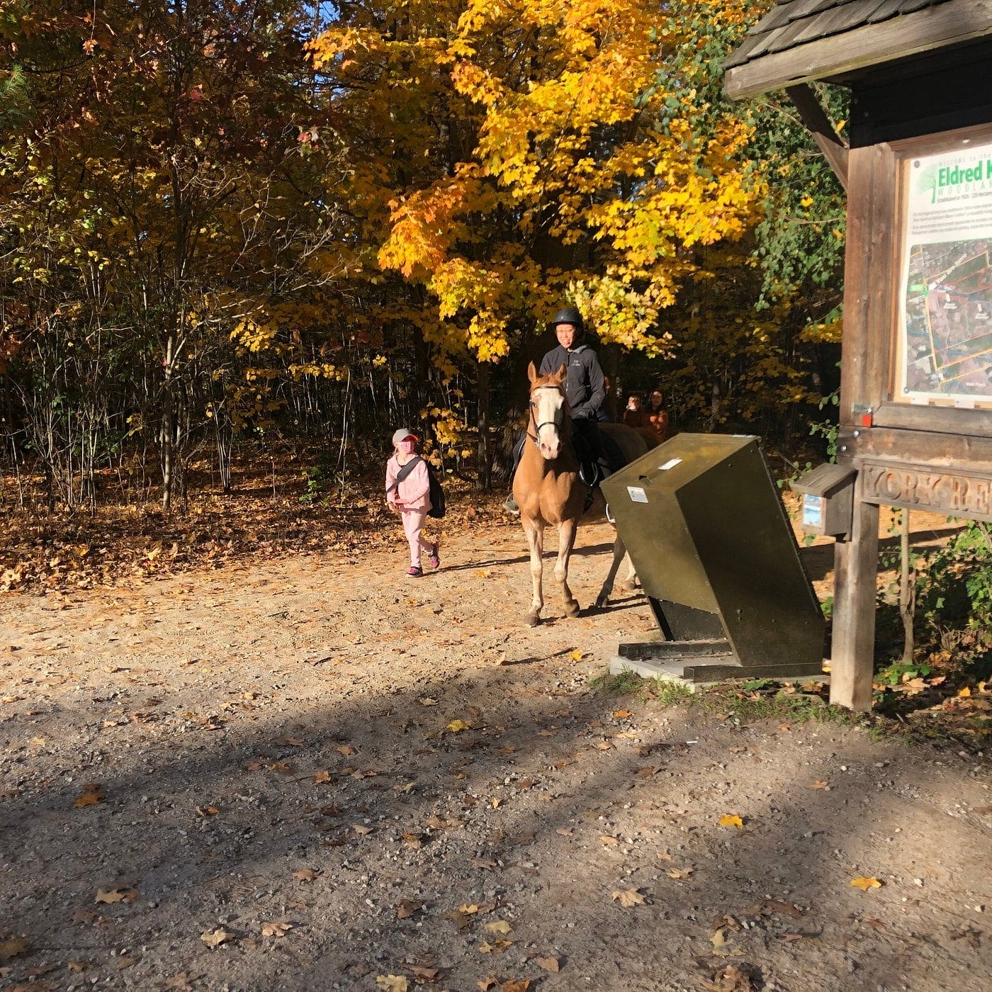 Eldred King Woodlands