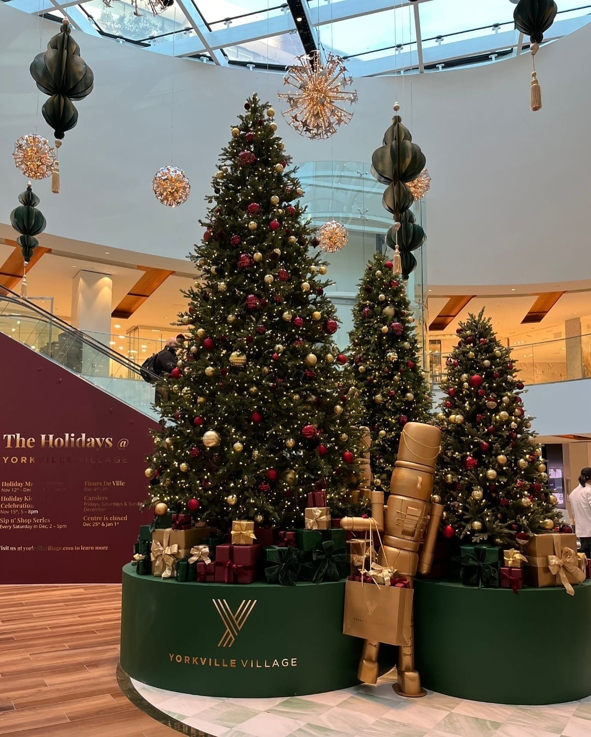 Christmas Trees in Toronto