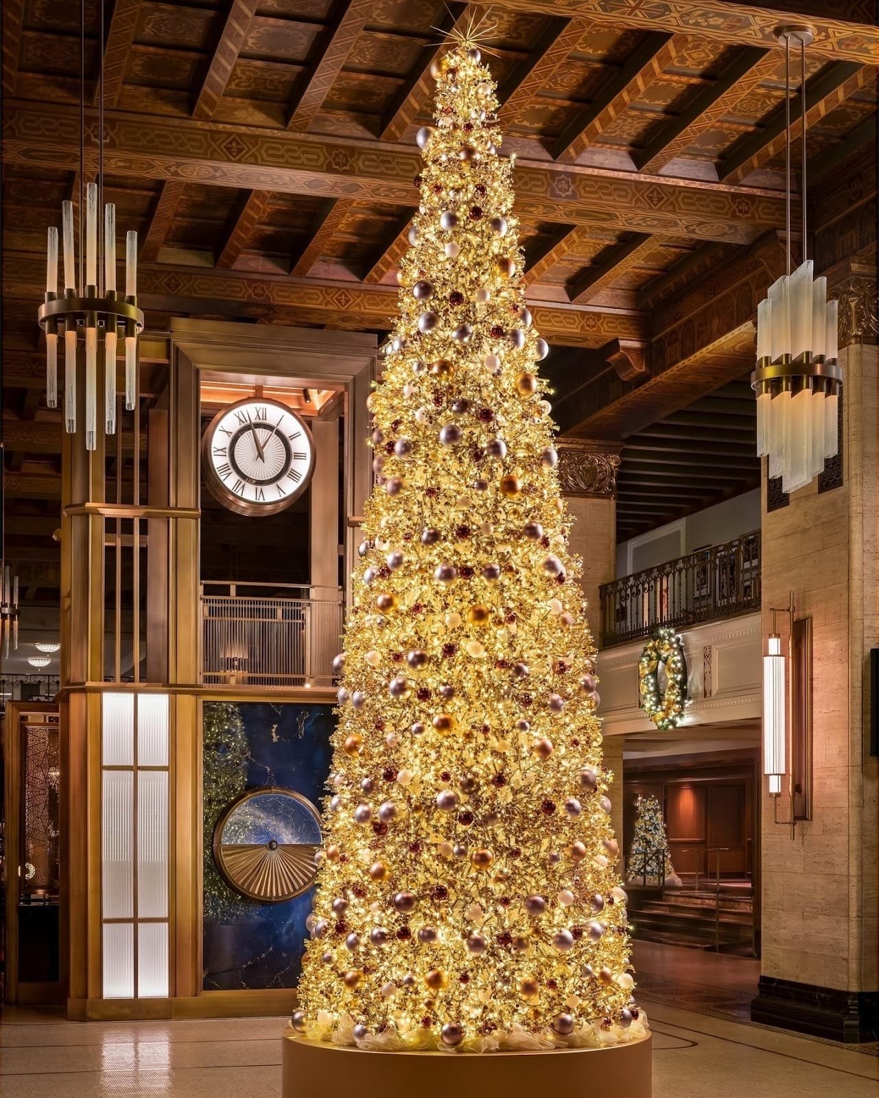 Christmas Trees in Toronto