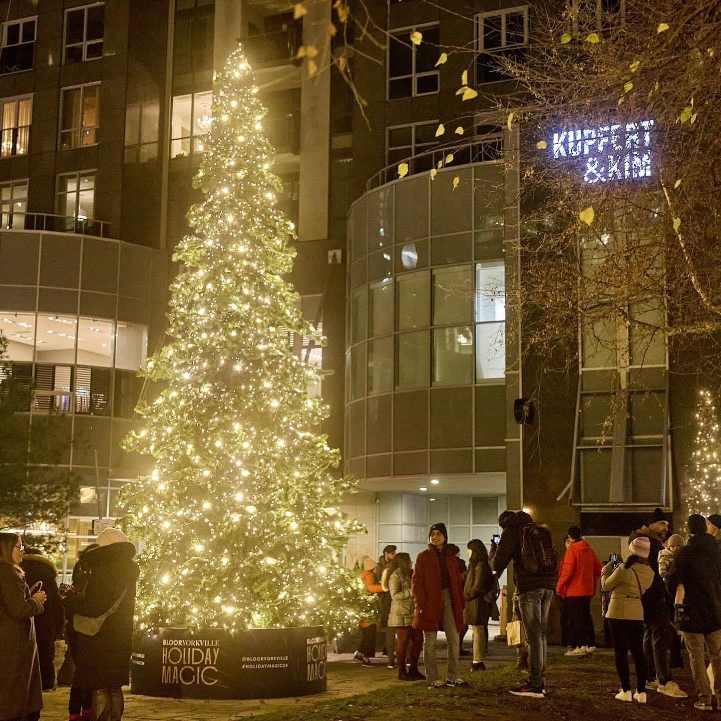 Christmas Trees in Toronto