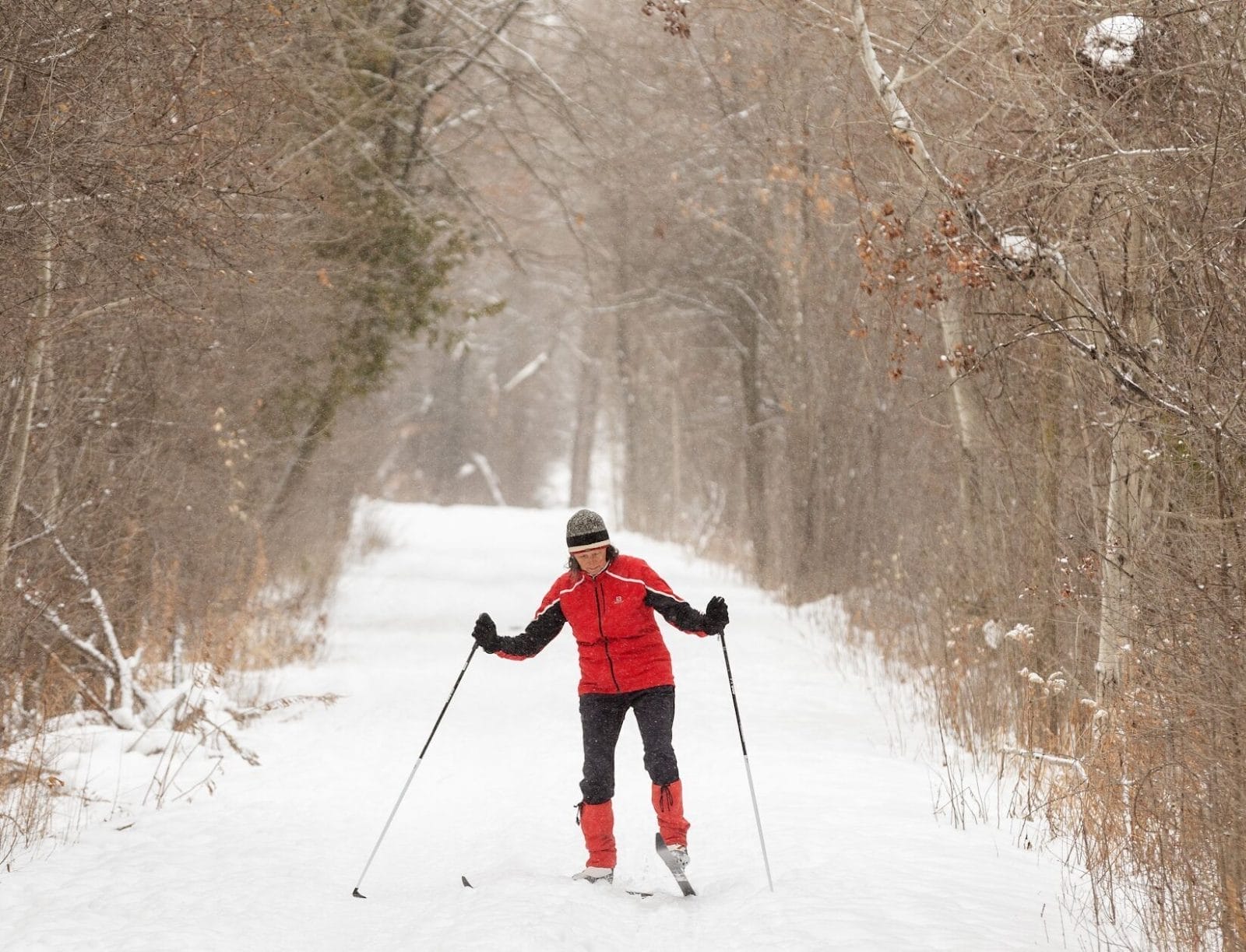 Toronto Islands in winter
