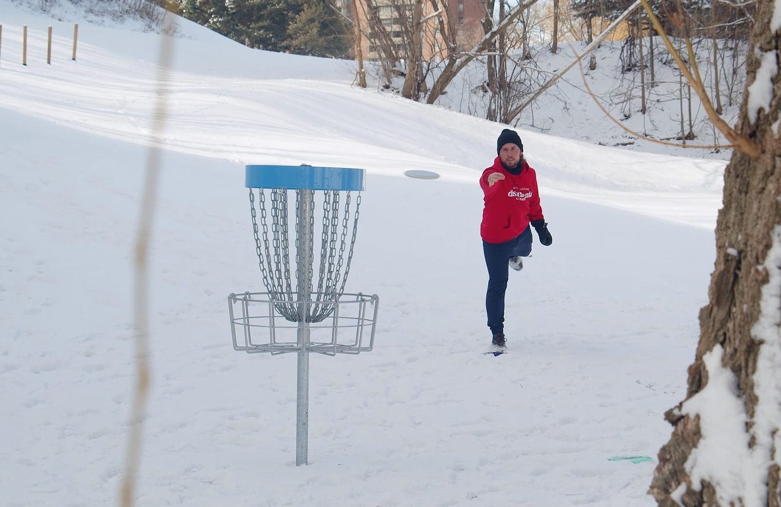 Toronto Islands in winter