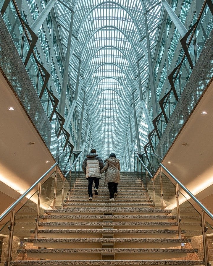 survive first Toronto winter