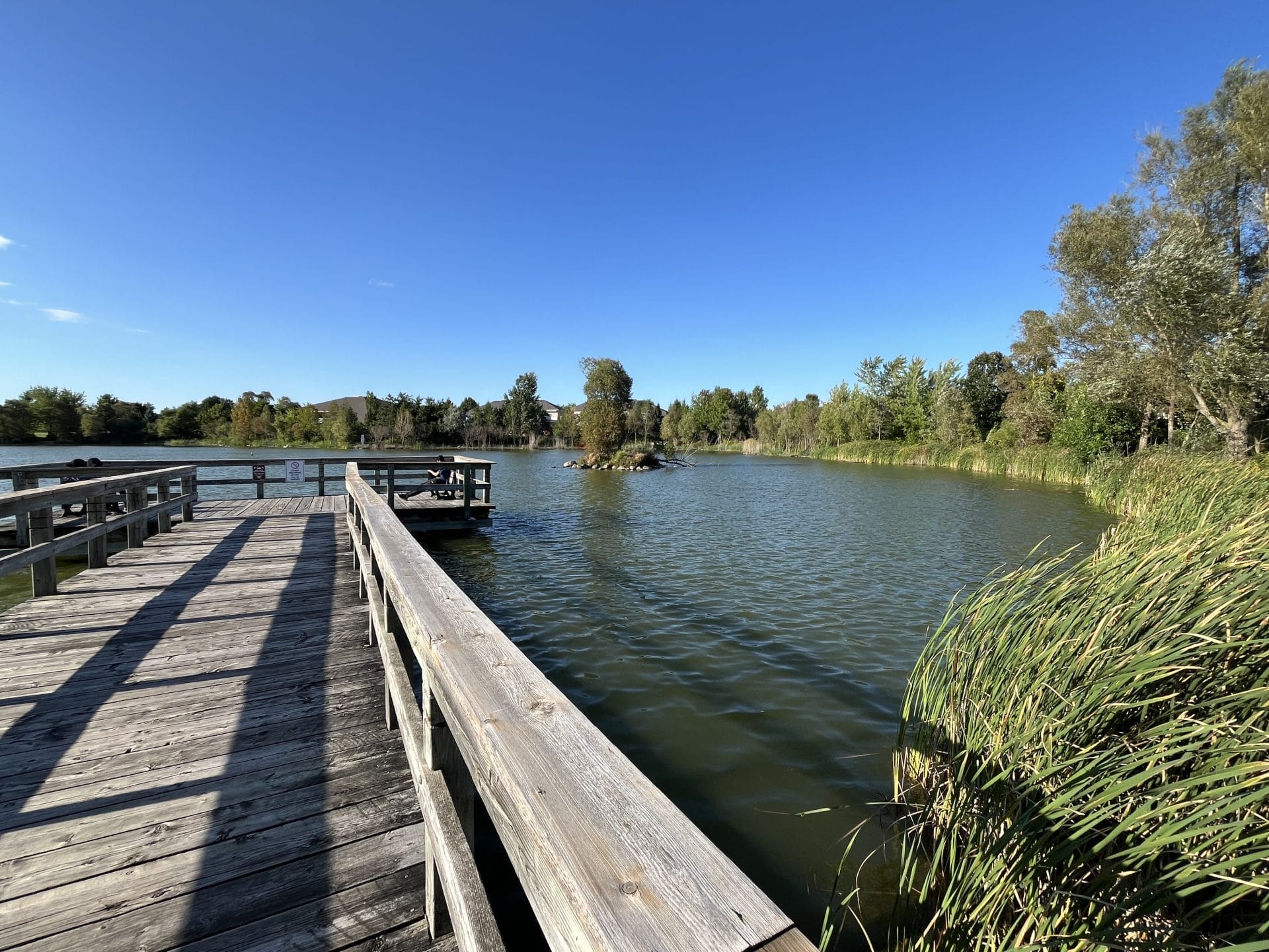 Toogood Pond Park