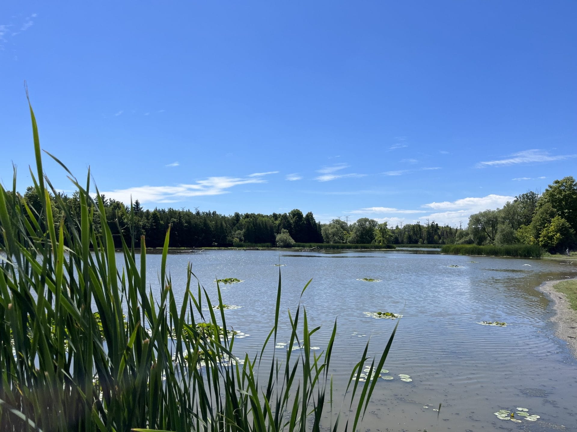 Milne Dam Conservation Park