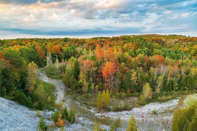 Best Things to Do in Markham This Fall