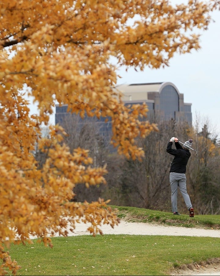 Top Things to Do in Etobicoke This Fall